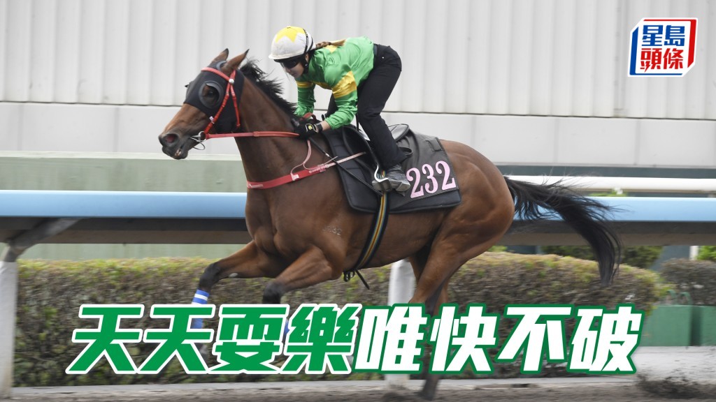 「天天耍樂」上仗賽事水準高，今次有權一放到底。