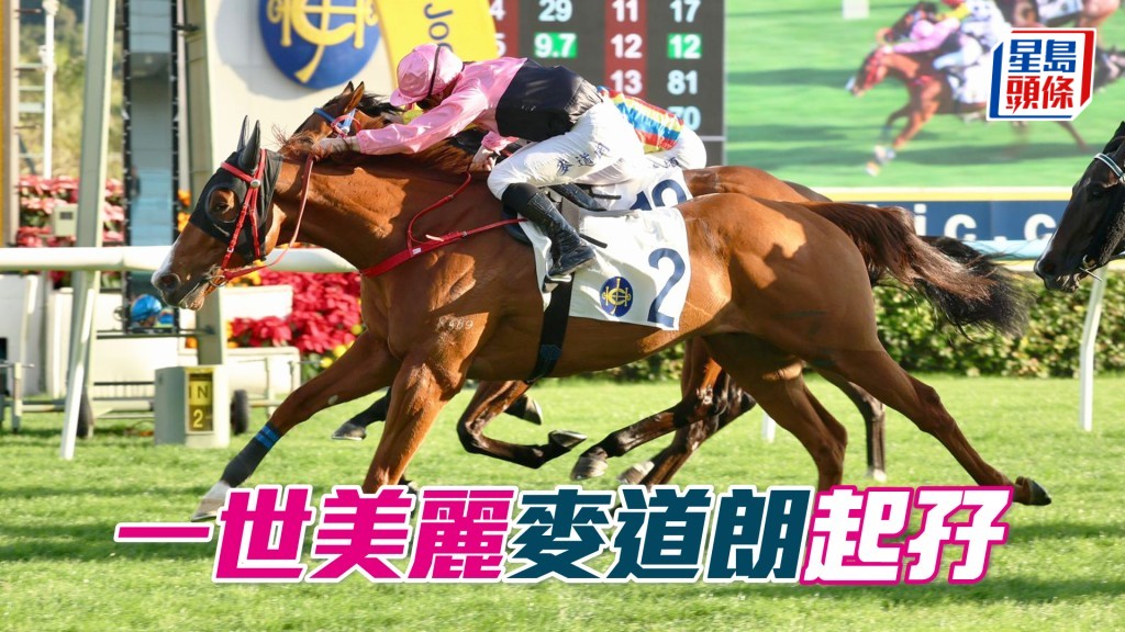 「一世美麗」麥道朗起孖