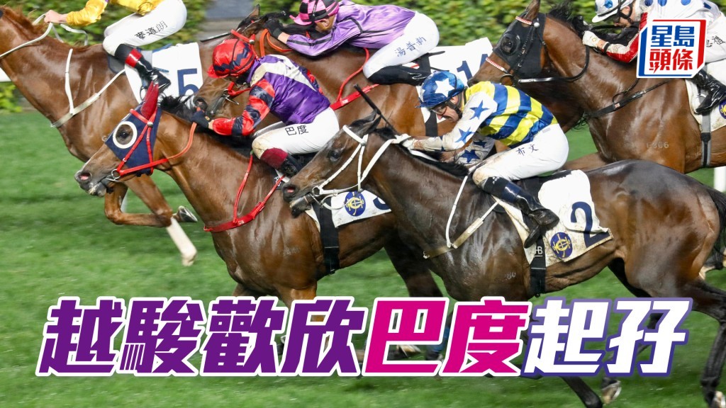 「越駿歡欣」今日贏得今季第五場頭馬。