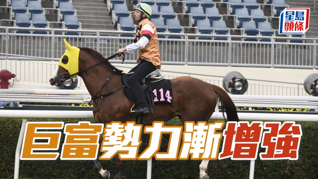 「巨富」子嗣戰力不斷增強，其中「增強」(圖) 四戰悉數上名，有力連場爭勝並躋身更高班次。