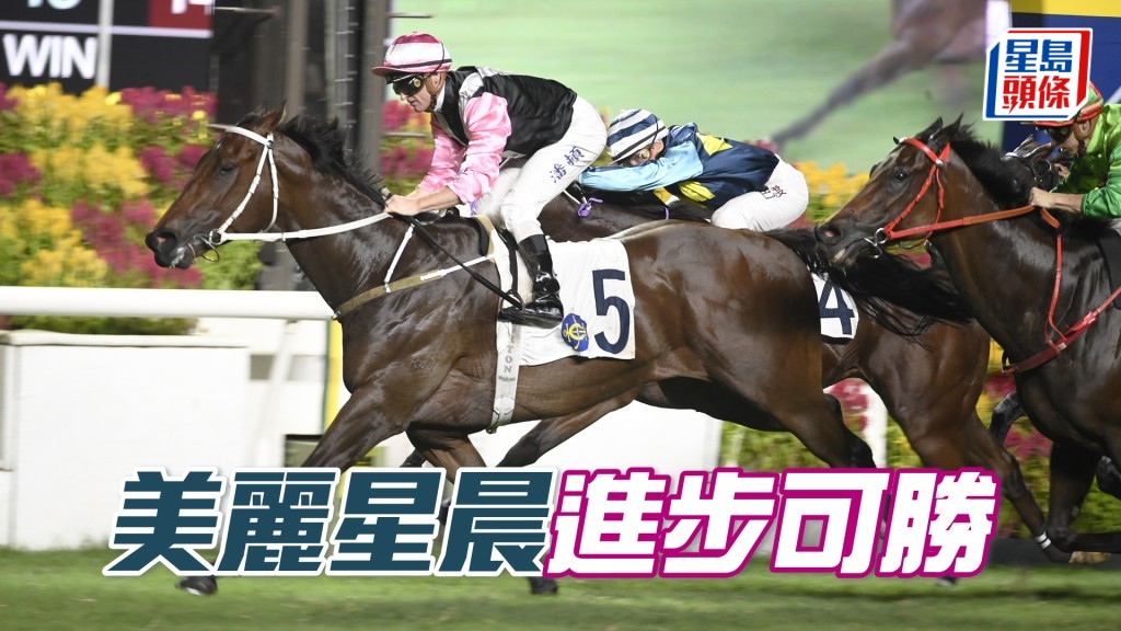 「美麗星晨」上仗末段追近予人進步感覺，今仗對手有不少快馬，有利後上爭勝。