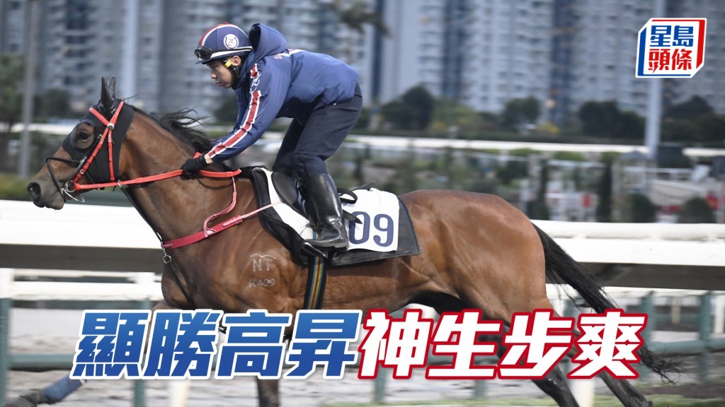 「显胜高升」目光锐利力度贯注，状态愈磨愈利。