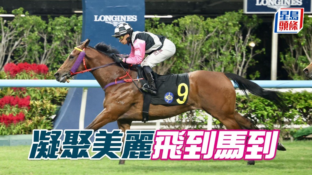 「凝聚美麗」飛到馬到