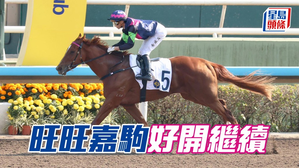 「旺旺嘉駒」勝後仍在四班，今次更排靚檔非常着數。