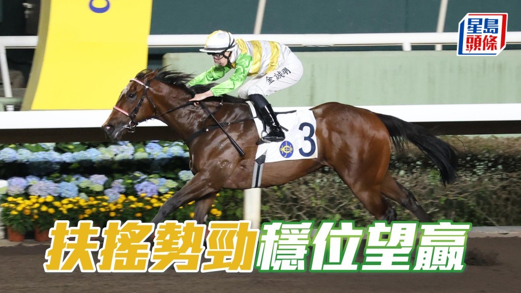 「扶搖勢勁」升班負輕磅更好跑,計實力穩位望贏。