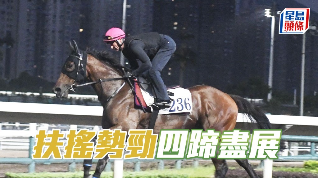 「扶搖勢勁」身壯呈現條線美，火氣亦比前時好。