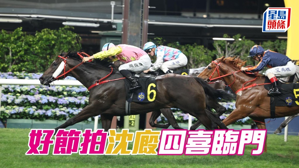 「好节拍」沈厩四喜临门