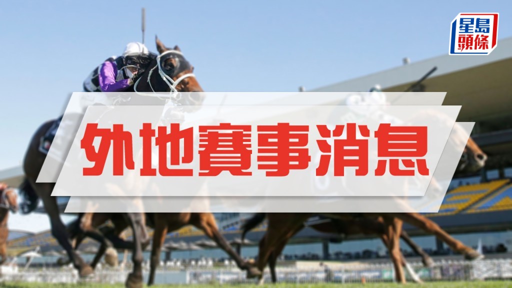 二〇〇四年開始配種的著名種馬「盡善盡美」，即將結束配種工作，正式退下來頤養天年。