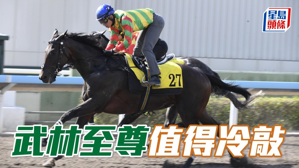 上仗「武林至尊」跑非擅長的千八米，可當作回氣賽一場，回師更有根據的谷草一哩，初戴開縫眼罩及轉場新鮮感下，或可提升表現，值得冷敲。