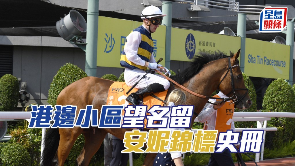 「港邊小區」將嘗試成為近代史上，唯一能連勝兩屆女皇安妮錦標的賽駒。