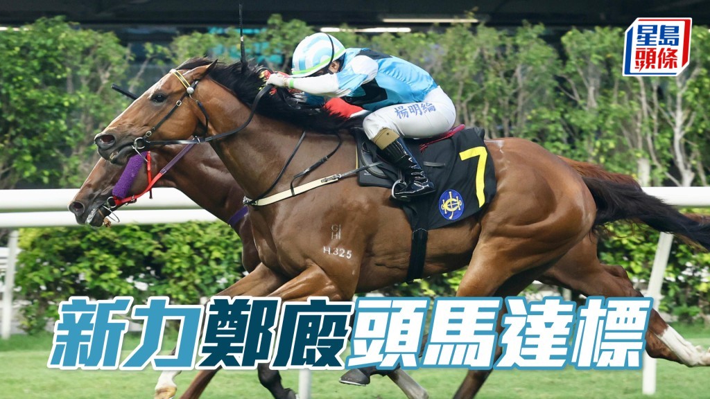 「新力」鄭廄頭馬達標
