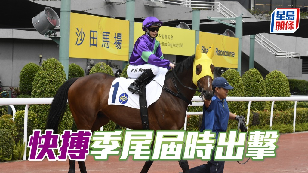 「快搏」今次喜遇快馬多場合,排一檔有助早段慳位,留待直路將對手一網打盡。