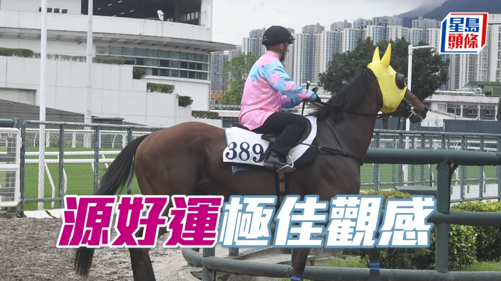 「源好運」出腳輕巧之餘又夠咬地。