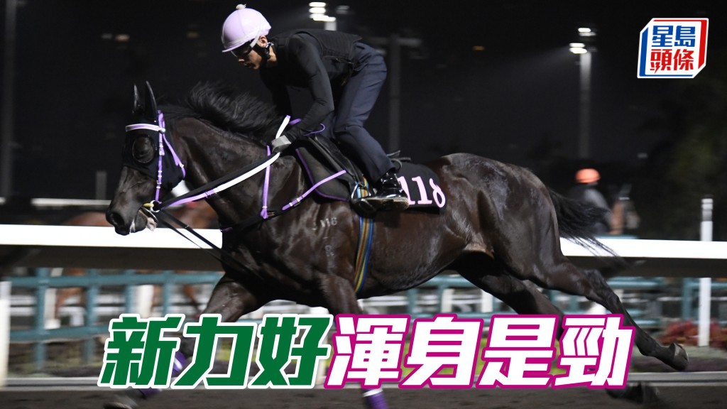 「新力好」渾身是勁