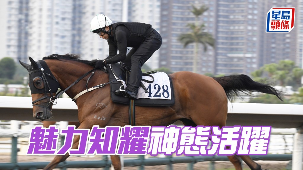  「魅力知耀」勇況持續體力未減。