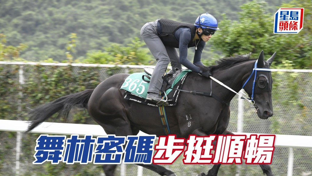  「舞林密碼」力度充沛，近況一直唔錯。