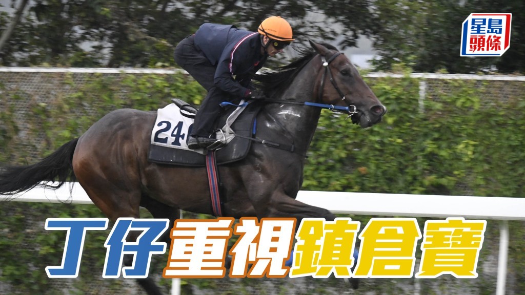 昨朝出跳後丁仔向 「小鳥天堂」(圖) 鞍上人副練追問，卻不太理會同期出跳的「發財金戈」，不妨放心追捧。