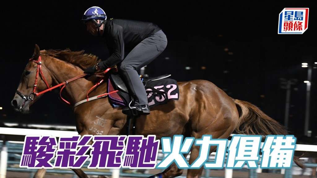 「駿彩飛馳」神情專注火力俱備，論態在上佳水準。