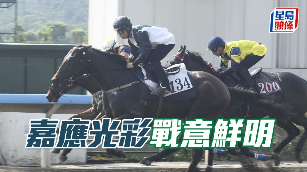 「嘉應光彩」上季曾於強組得亞軍，今次做足工夫，有望打開勝門。