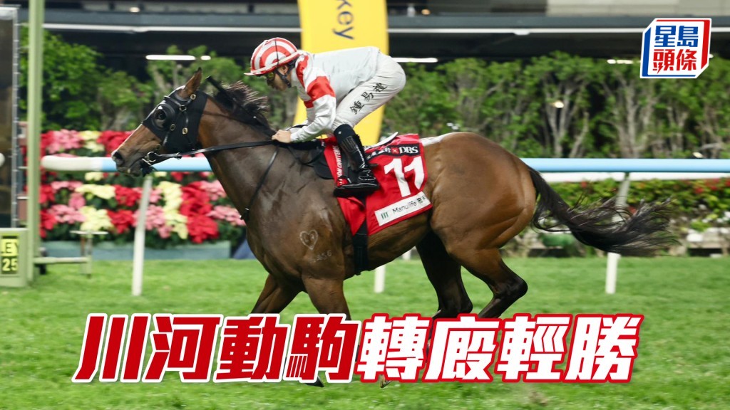 「川河动驹」转厩轻胜