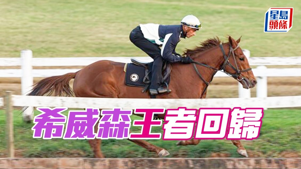 明晚南非冠軍盃賽馬日希威森將策騎九駒上陣。（相片提供：Candiese Lenferna）