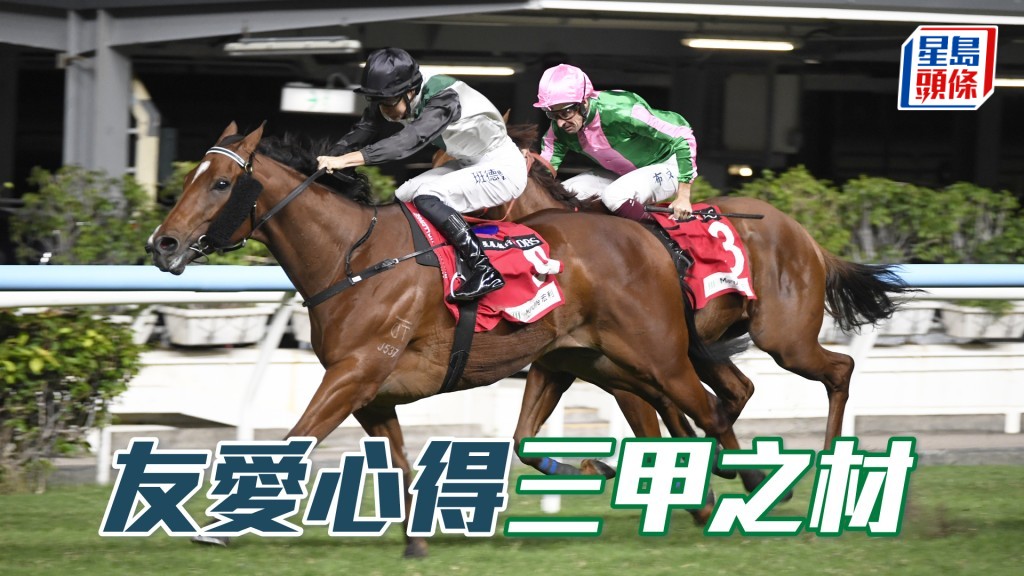 「友愛心得」今仗再次排內檔，形勢甚好跑，屬三甲之材。