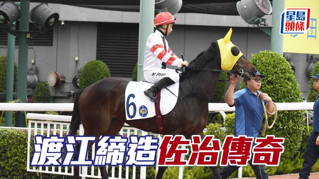 「佐治傳奇」將出爭周三晚第四場四班千二米。