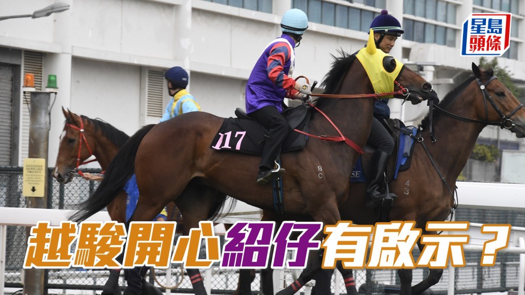 蔡明紹今朝選擇「越駿開心」(圖) 出試,莫非他心中有馬?