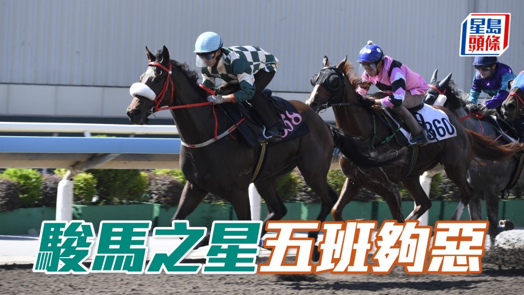 已证明有气量的「骏马之星」(图) 今趟首度在五班上阵，执笔时仍有不俗赔率，值得一搏。
