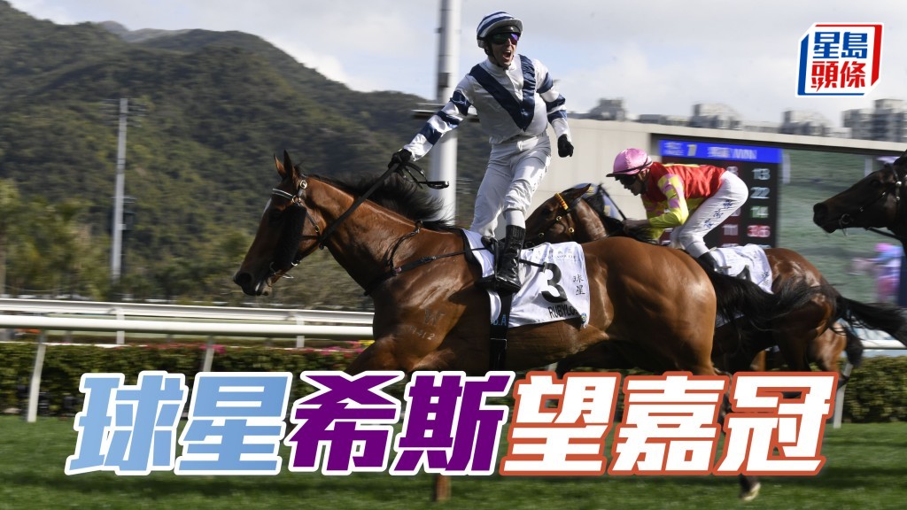 日前被問到參戰馬機會時，希斯表示「球星」(圖) 和「嘉冠王」均具機會爭勝。