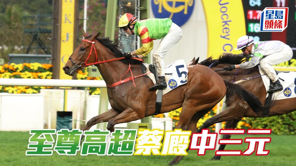 「至尊高超」蔡廄中三元