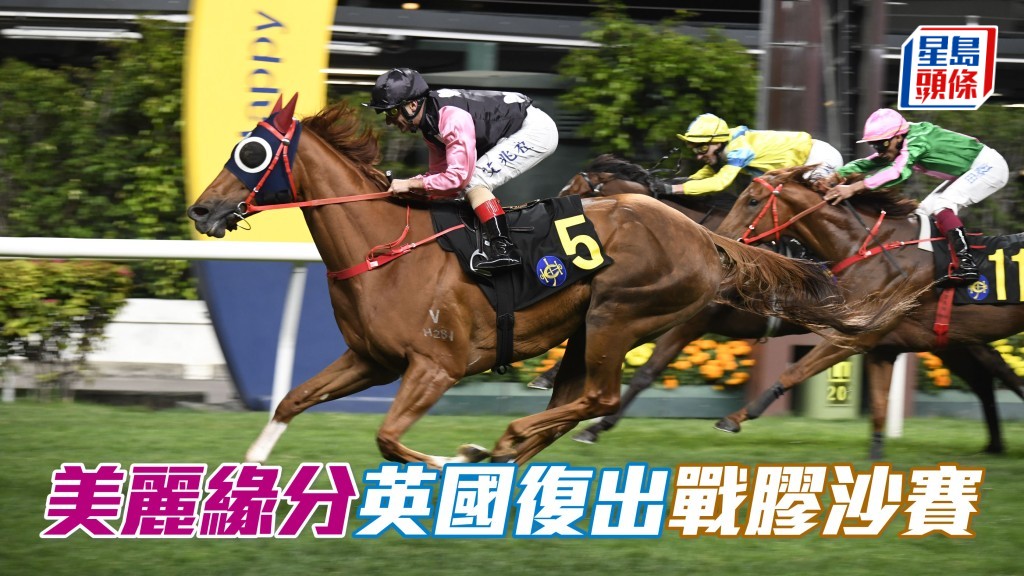 马场浮世绘｜「美丽缘分」英国复出战胶沙赛