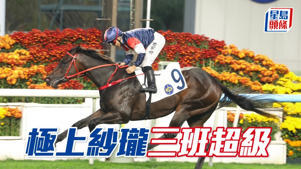 「极上纱珑」 第八场表面机会压一嘅系三班超级马「极上纱珑」上场赢马姿态无敌，即使今场负重磅也问题不大。