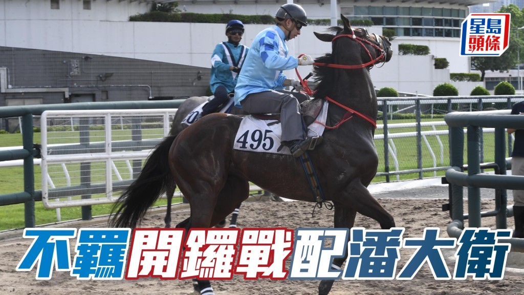  葉楚航周日將與潘大衛合作，「不羈」(圖) 由首季在港策騎的潘大衛主轡。
