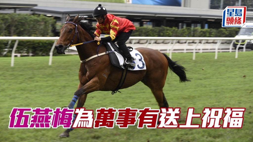  「萬事」系馬主伍燕梅日前入容天鵬馬房，與已退役的「萬事有」話別，向愛駒送上祝福。