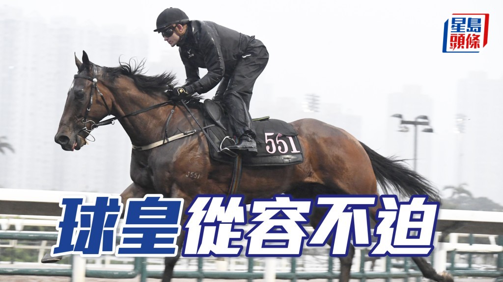 「球皇」身壯毛色油潤，比前更進一步。