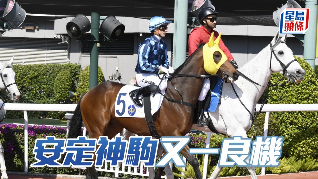 「安定神駒」又一良機