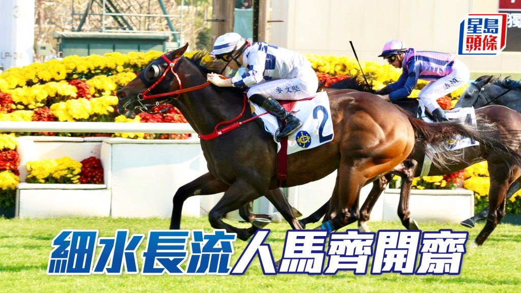 「細水長流」人馬齊開齋