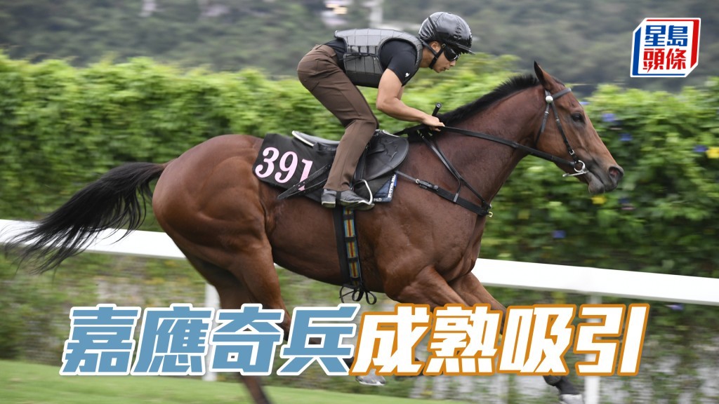 「嘉應奇兵」馬身扎實現線條，動作流暢平衡力好。