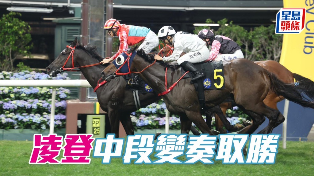 「凌登」中段變奏取勝