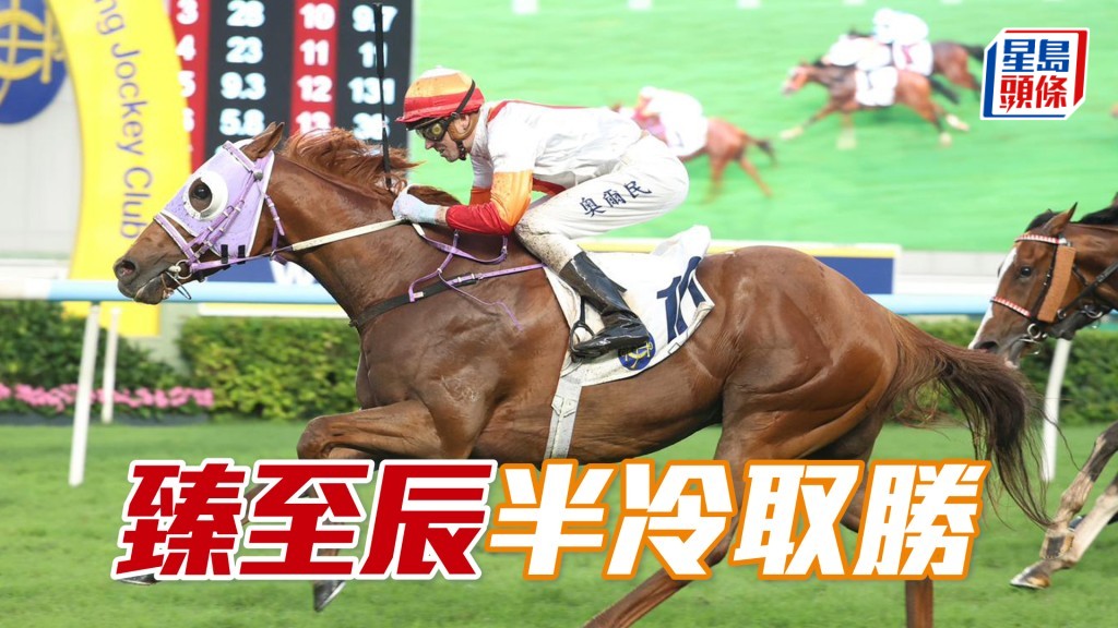 「臻至辰」半冷取勝