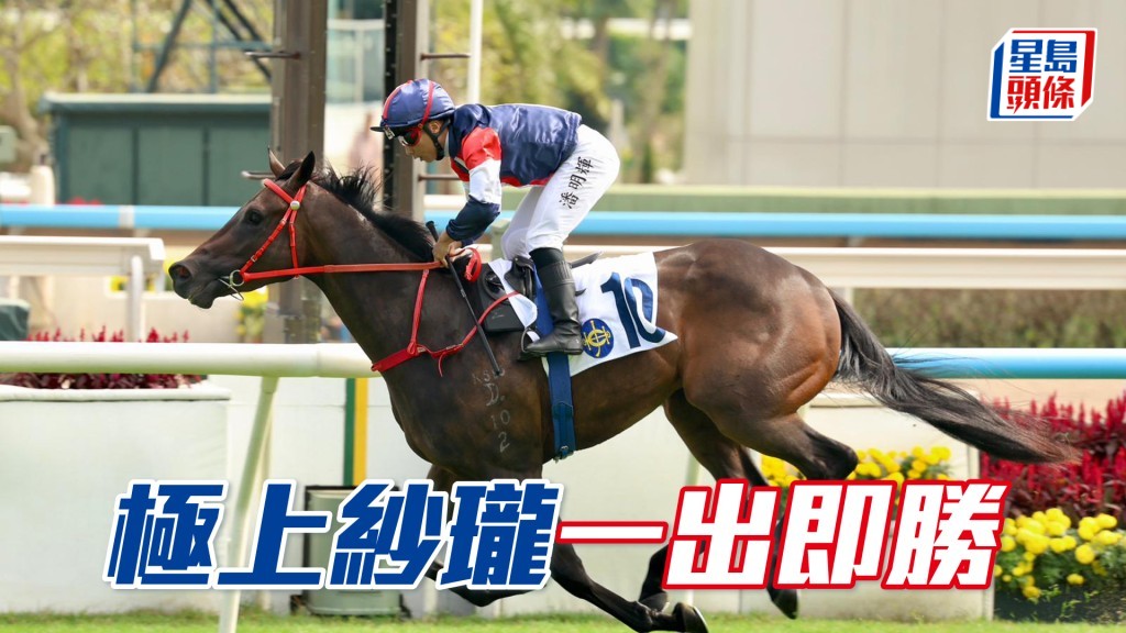 「極上紗瓏」一出即勝