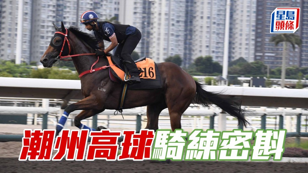 沙田早晨│「潮州高球」骑练密斟