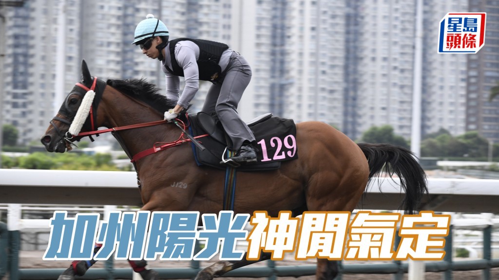 「加州陽光」跑姿順暢落腳輕巧，進度理想。