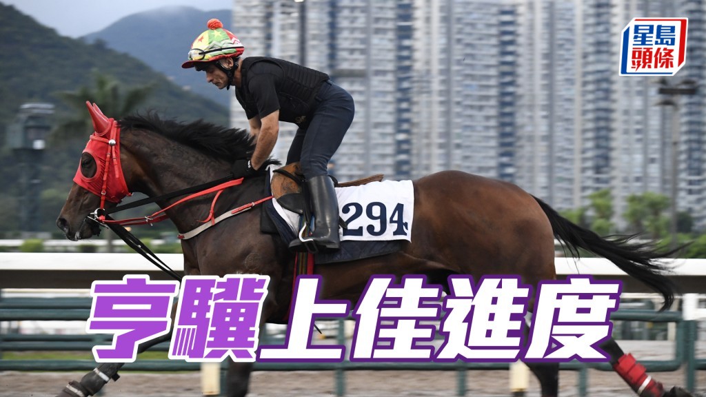 「亨驥」步順力雄火氣充裕，身又夠壯夠實淨。