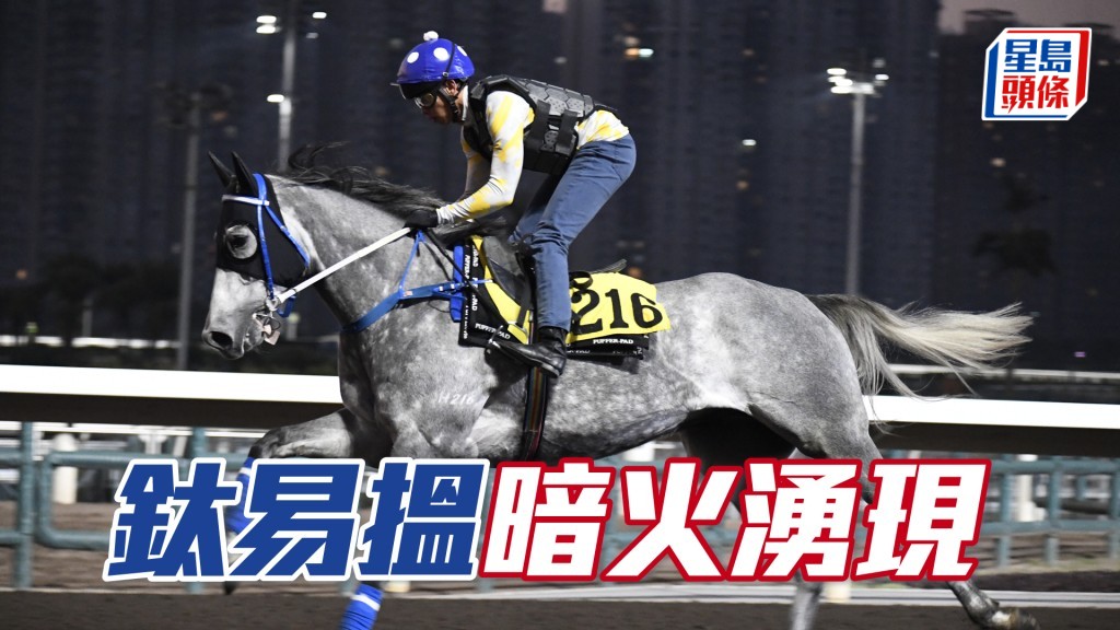 「鈦易搵」運步如輪神采奕奕，愈贏愈勁有氣勢。