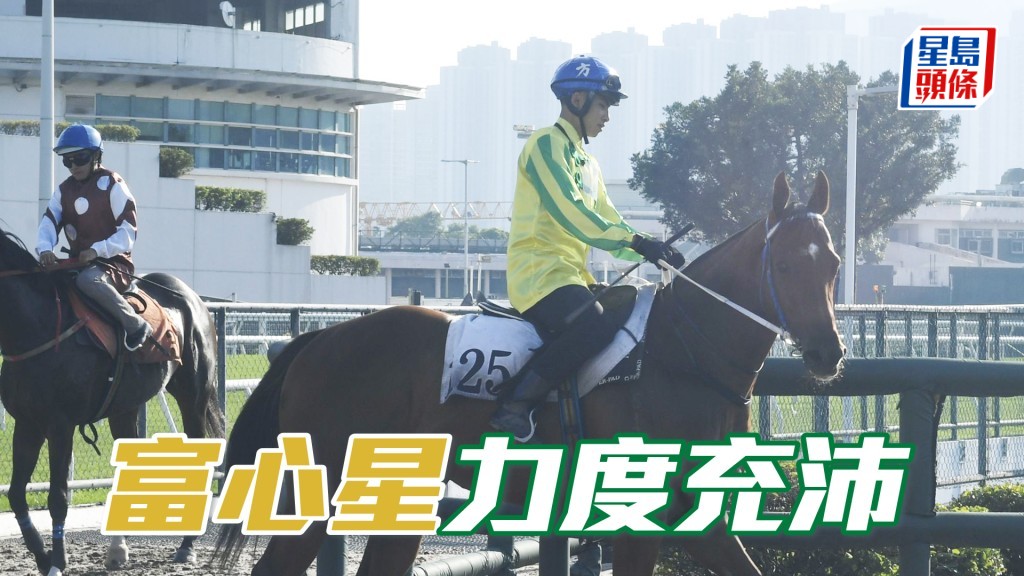 「富心星」跑姿順暢落腳又輕巧，神采奕奕仍具好感。