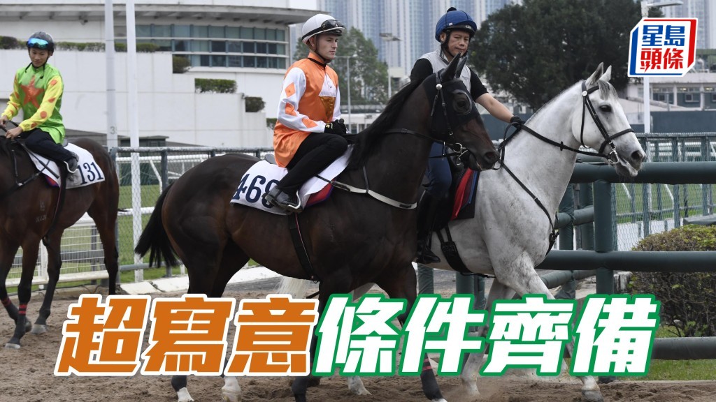 縱觀今場有「手到齊來」、「飛龍在天」、「勝萬金」以及廄侶「千杯敬典」在場，估計早段步速會偏快，相信有助打皇牌報跑今場的「超寫意」(圖) 發揮。