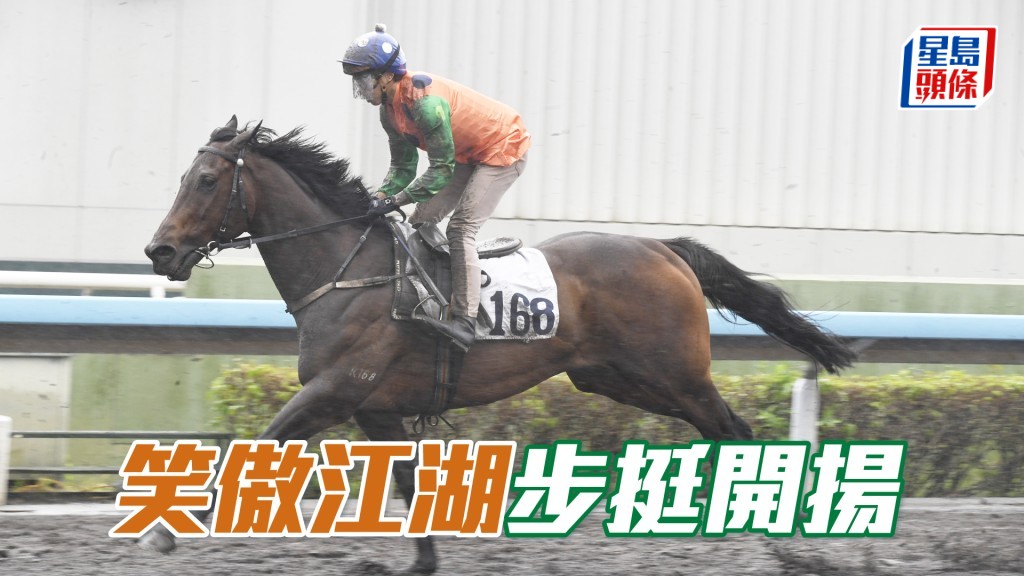 「笑傲江湖」毛色油潤有光澤，神態回旺勇況提升。