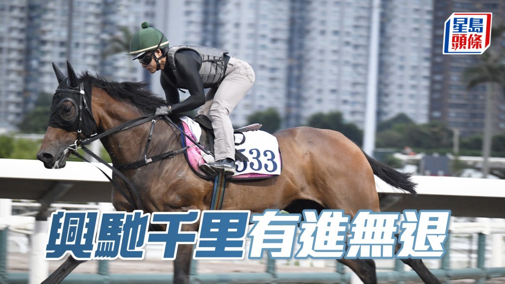 「興馳千里」洒開大步衝刺，勁度十足有火有力。
